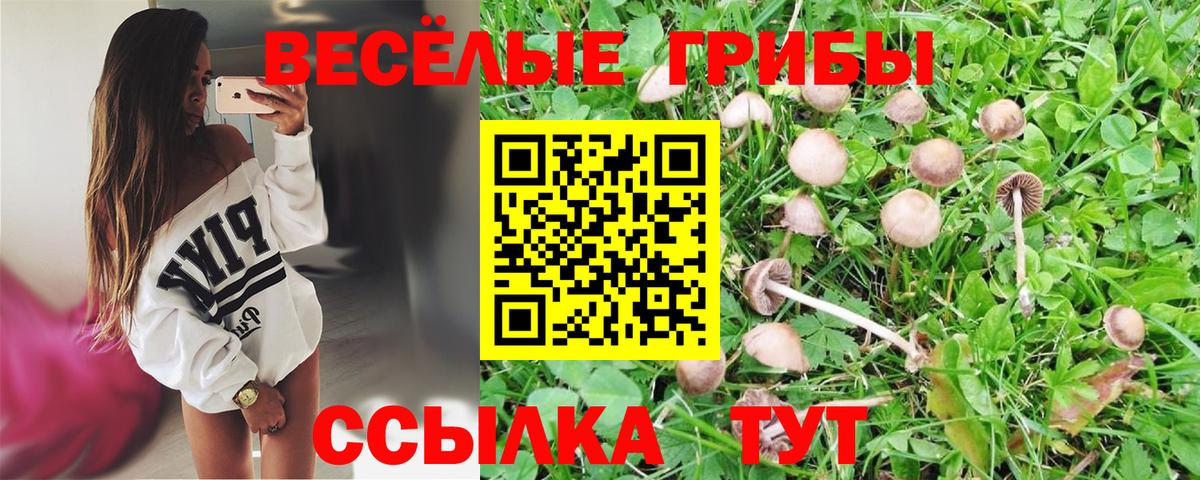 Тара  Галлюциногенные грибы ЛСД  Псилоцибиновые грибы мухоморы  Вход с VPN 