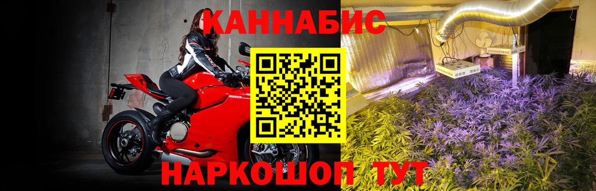 Канабис Bruce Banner Тара
